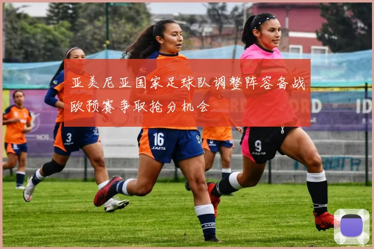 亚美尼亚国家足球队调整阵容备战欧预赛争取抢分机会