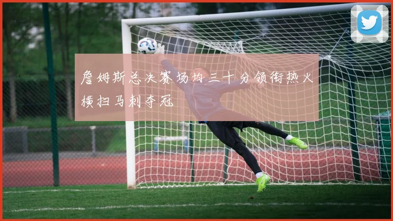 詹姆斯总决赛场均三十分领衔热火横扫马刺夺冠