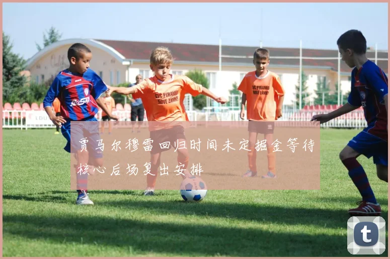 贾马尔穆雷回归时间未定掘金等待核心后场复出安排