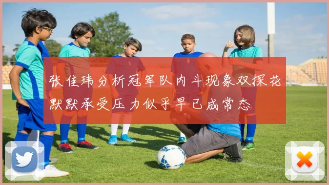 张佳玮分析冠军队内斗现象双探花默默承受压力似乎早已成常态