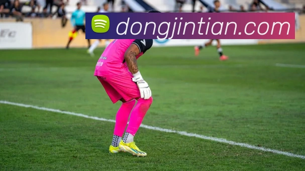 星空体育综合体育官网入口APP 封面图