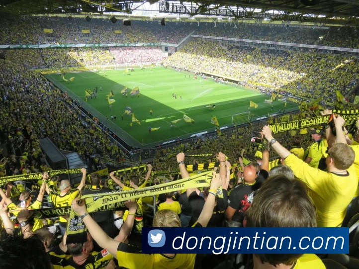 数据防护可视化